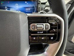 2025 LDV Terron 9 Evolve