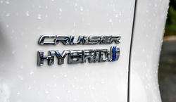 2024 Toyota RAV4 Cruiser