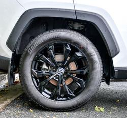 2024 Toyota RAV4 Cruiser