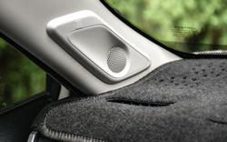 2024 Toyota RAV4 Cruiser