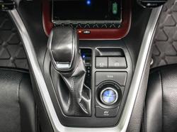 2024 Toyota RAV4 Cruiser