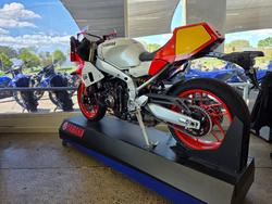 2025 Yamaha XSR900GP (MTM890ASP)