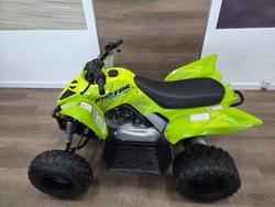 2025 Yamaha 2025 Yamaha 110CC YFM110RS