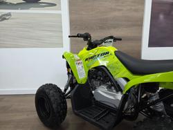 2025 Yamaha 2025 Yamaha 110CC YFM110RS