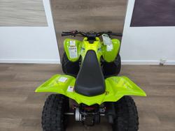 2025 Yamaha 2025 Yamaha 110CC YFM110RS