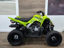 Yamaha 2025 Yamaha 110CC YFM110RS