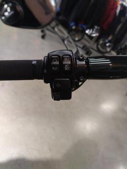 2016 Harley-Davidson Softail Slim (FLS) Softail Black