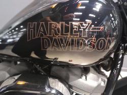2021 Harley-Davidson Low Rider S 114 (FXLRS) Softail Black