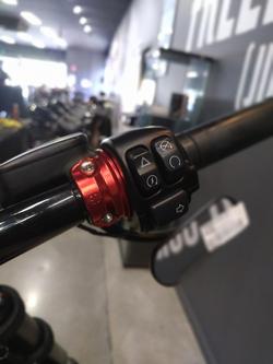 2021 Harley-Davidson Low Rider S 114 (FXLRS) Softail Black