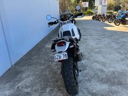 2023 DUCATI DESERTX White