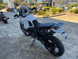 2023 DUCATI DESERTX White