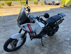 2023 DUCATI DESERTX White