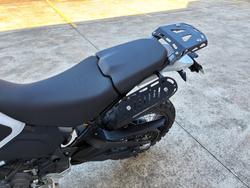 2023 DUCATI DESERTX White