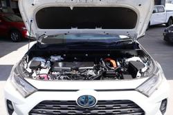 2020 Toyota RAV4 Cruiser