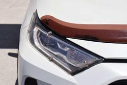 2020 Toyota RAV4 Cruiser