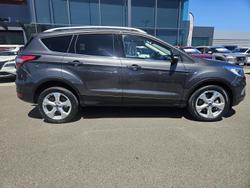 2019 Ford Escape Trend