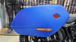 2026 HARLEY-DAVIDSON FXLRST LOW RIDER ST (117)