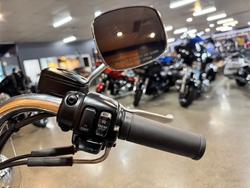 1996 HARLEY-DAVIDSON FLSTN HERITAGE S/TAIL SPECIAL