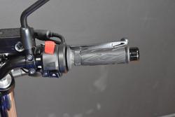 2025 Suzuki SV650 Blue