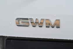 2020 GWM Ute Cannon-L