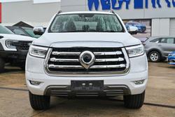 2020 GWM Ute Cannon-L