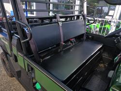 2025 Kawasaki MULE PRO-DX Green