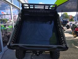 2025 Kawasaki MULE PRO-DX Green