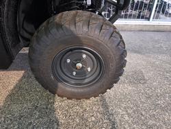 2025 Kawasaki MULE PRO-DX Green