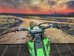 2022 Kawasaki KX450 GREEN