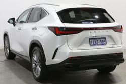 2022 Lexus NX NX350h Sports Luxury