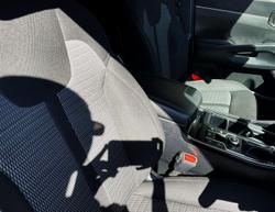 2023 Kia Sorento Sport