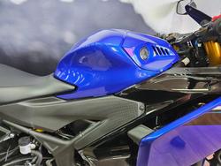 2025 Yamaha YZF-R3