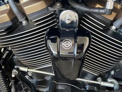 2022 Harley-Davidson Street Glide ST 117 (FLHXST) Touring Black