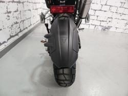 2025 Triumph Tiger 1200 Desert Edition Tiger