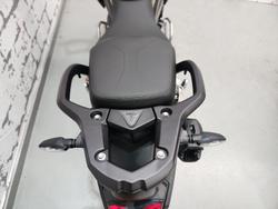 2025 Triumph Tiger 1200 Desert Edition Tiger