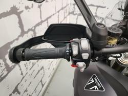 2025 Triumph Tiger 1200 Desert Edition Tiger