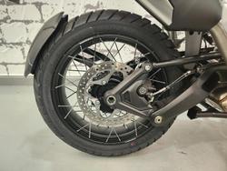 2025 Triumph Tiger 1200 Desert Edition Tiger