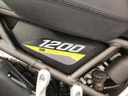 2025 Triumph Tiger 1200 Desert Edition Tiger