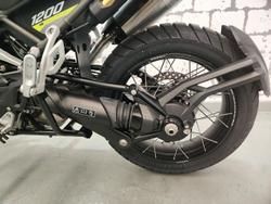 2025 Triumph Tiger 1200 Desert Edition Tiger