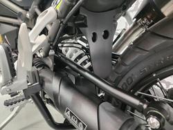 2025 Triumph Tiger 1200 Desert Edition Tiger