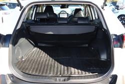 2025 Toyota RAV4 Cruiser