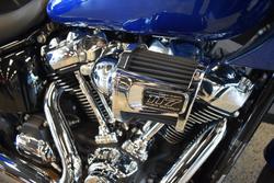 2025 HARLEY-DAVIDSON FXLRST LOW RIDER ST (117)