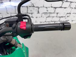 2020 Honda CB300R (CB300RA) CB300 Green