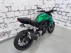 2020 Honda CB300R (CB300RA) CB300 Green