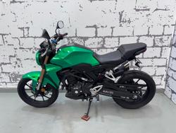 2020 Honda CB300R (CB300RA) CB300 Green