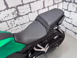 2020 Honda CB300R (CB300RA) CB300 Green