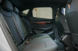 2024 CUPRA Tavascan Endurance