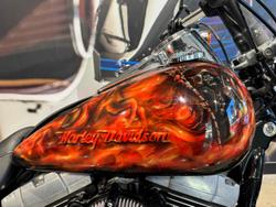 2008 Harley-Davidson Dyna Fat Bob 96 (FXDF) Dyna