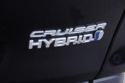 2024 Toyota RAV4 Cruiser