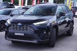 2024 Toyota RAV4 Cruiser